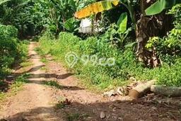 Kavling Tanah Dijual di Gunung Pati Semarang Spesifikasi 505m2 Kavling Tanah Dijual di Gunung Pati Semarang Spesifikasi 505m2