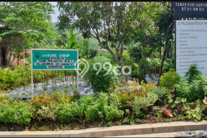 Tanah Dijual Lokasi Gunung Pati, Semarang Luas 98m2 Legalitas Aman Tanah Dijual Lokasi Gunung Pati, Semarang Luas 98m2 Legalitas Aman
