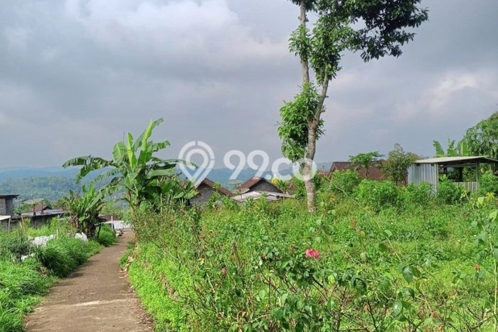 Lahan Investasi Lokasi Sumowono Semarang SHM Lahan Investasi Lokasi Sumowono Semarang SHM