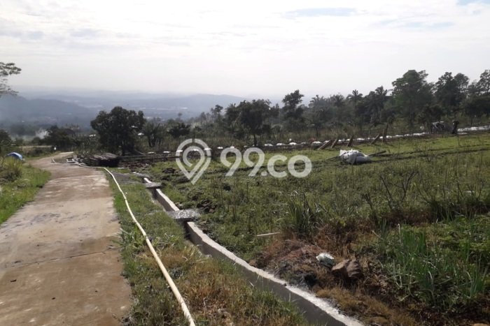 Tanah di Bandungan, Semarang Luas 1100m2 Dijual Segera Tanah di Bandungan, Semarang Luas 1100m2 Dijual Segera