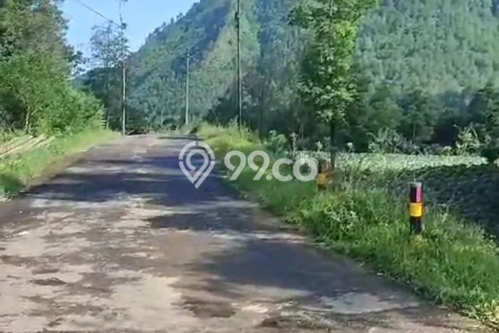 Kavling Tanah Dijual di Ngablak Magelang Spesifikasi 1550m2 Kavling Tanah Dijual di Ngablak Magelang Spesifikasi 1550m2