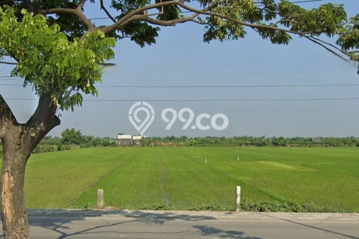 Tanah Kavling untuk Dijual di Kaliwungu Kendal 10444m2 Tanah Kavling untuk Dijual di Kaliwungu Kendal 10444m2