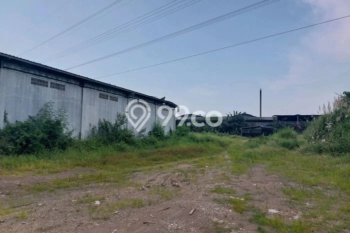 Disewakan Gudang di Kawasan Ramai Muktiharjo Luas 500m2 Disewakan Gudang di Kawasan Ramai Muktiharjo Luas 500m2