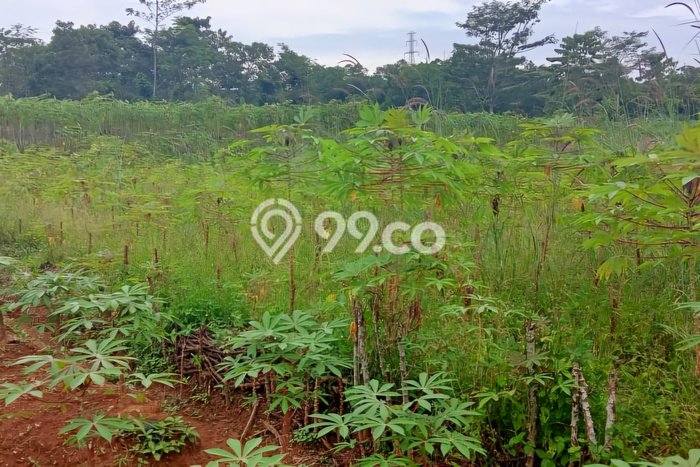 Dijual Tanah Lokasi Purwakarta Kota, Purwakarta Seluas 100000m2 Dijual Tanah Lokasi Purwakarta Kota, Purwakarta Seluas 100000m2