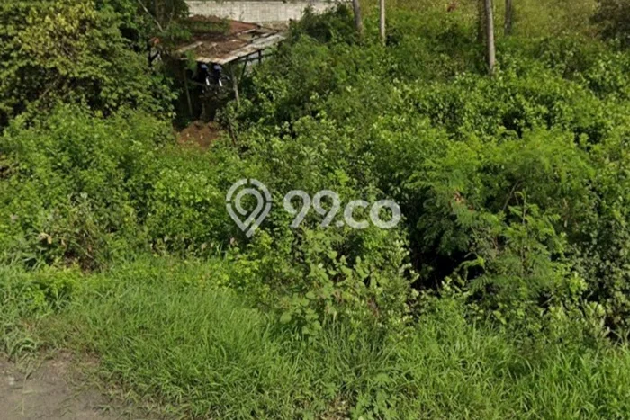 Tanah untuk Dijual Lokasi Kaliwungu, Kendal Luas 100000m2 SHM Tanah untuk Dijual Lokasi Kaliwungu, Kendal Luas 100000m2 SHM