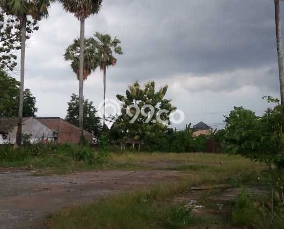 Tanah Kavling untuk Disewa di Pedurungan Semarang 3000m2 Tanah Kavling untuk Disewa di Pedurungan Semarang 3000m2
