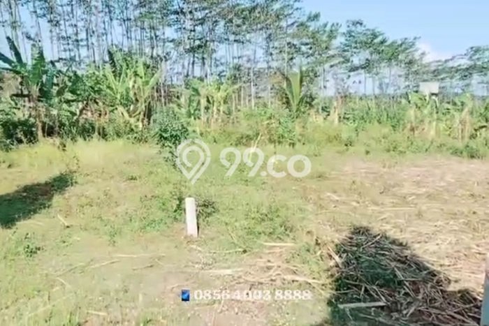 Lahan Kosong Dijual di Semarang dengan Area 7000m2 Lahan Kosong Dijual di Semarang dengan Area 7000m2