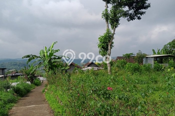Lahan Investasi Lokasi Sumowono Semarang SHM Lahan Investasi Lokasi Sumowono Semarang SHM