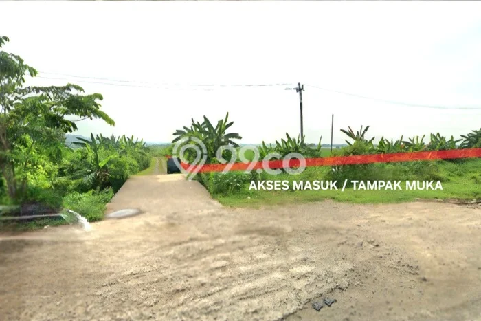 Tanah Kavling untuk Dijual di Kaliwungu Kendal 1.239179e+06m2 Tanah Kavling untuk Dijual di Kaliwungu Kendal 1.239179e+06m2
