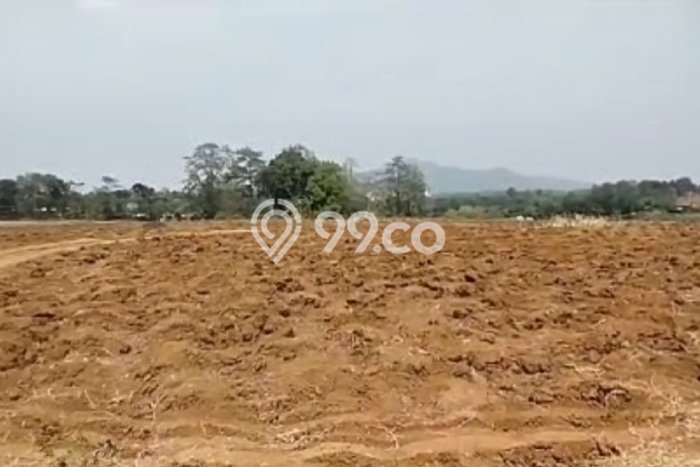 Kavling Tanah Dijual di Jepara Jepara Spesifikasi 40000m2 Kavling Tanah Dijual di Jepara Jepara Spesifikasi 40000m2