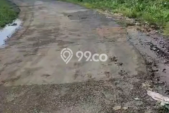 Kavling Tanah Dijual di Ngablak Magelang Spesifikasi 1550m2 Kavling Tanah Dijual di Ngablak Magelang Spesifikasi 1550m2
