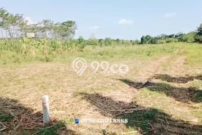 Lahan Kosong Dijual di Semarang dengan Area 7000m2 Lahan Kosong Dijual di Semarang dengan Area 7000m2