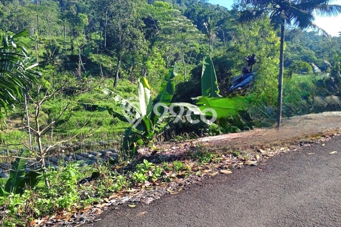 Jarang Ada! Tanah di Sumowono Punya Luas 250m2 SHM Jarang Ada! Tanah di Sumowono Punya Luas 250m2 SHM