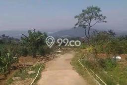 Kavling Tanah Dijual di Bandungan Semarang Spesifikasi 1200m2 Kavling Tanah Dijual di Bandungan Semarang Spesifikasi 1200m2