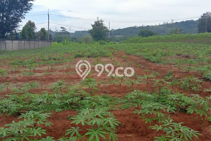 Dijual Tanah Lokasi Purwakarta Kota, Purwakarta Seluas 100000m2 Dijual Tanah Lokasi Purwakarta Kota, Purwakarta Seluas 100000m2