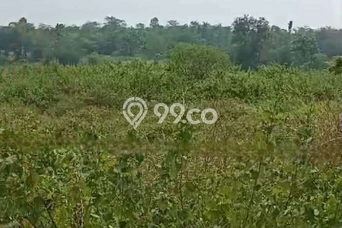 Lahan Kosong Dijual di Cibogo, Subang, Luas 105000m2 Area Strategis Lahan Kosong Dijual di Cibogo, Subang, Luas 105000m2 Area Strategis
