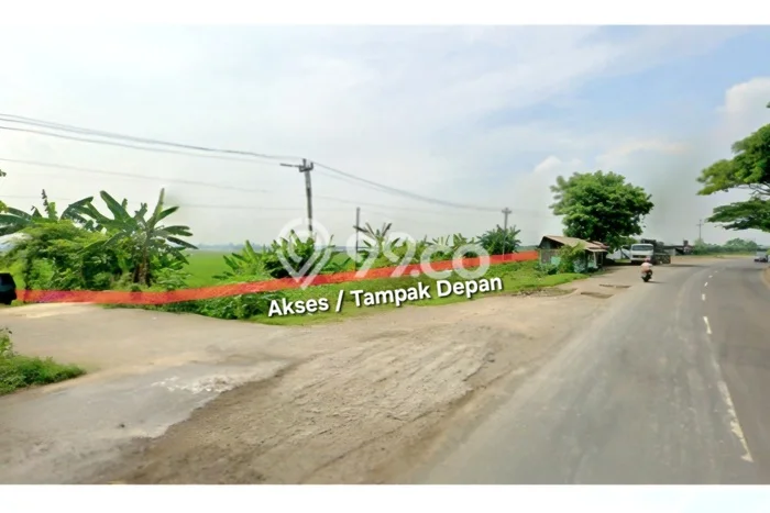 Tanah Kavling untuk Dijual di Kaliwungu Kendal 1.239179e+06m2 Tanah Kavling untuk Dijual di Kaliwungu Kendal 1.239179e+06m2