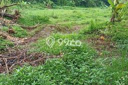 Kavling Tanah untuk Dijual di Mangunsari, Semarang, Luas 1998m2 Kavling Tanah untuk Dijual di Mangunsari, Semarang, Luas 1998m2