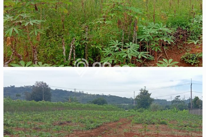 Dijual Tanah Lokasi Purwakarta Kota, Purwakarta Seluas 100000m2 Dijual Tanah Lokasi Purwakarta Kota, Purwakarta Seluas 100000m2