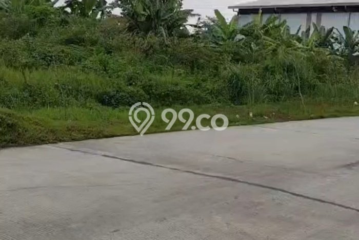 Kavling Tanah Dijual di Ngaliyan, Semarang, Luas 8000m2 Area Strategis Kavling Tanah Dijual di Ngaliyan, Semarang, Luas 8000m2 Area Strategis