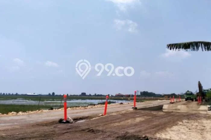 Jarang Ada! Tanah di Demak Punya Luas 250000m2 SHM Jarang Ada! Tanah di Demak Punya Luas 250000m2 SHM