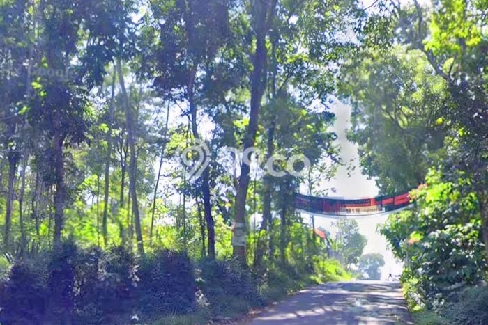 Jarang Ada! Tanah di Ungaran Barat Punya Luas 465m2 SHM Jarang Ada! Tanah di Ungaran Barat Punya Luas 465m2 SHM