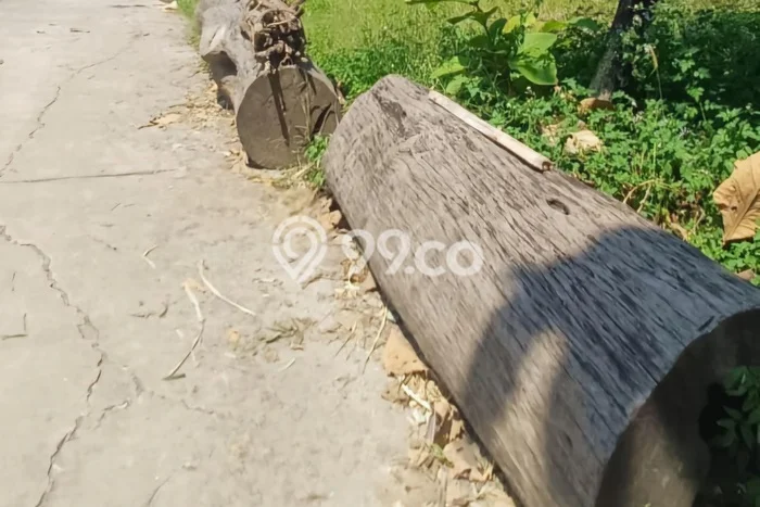 Tanah untuk Dijual Lokasi Bringin, Semarang Luas 1378m2 SHM Tanah untuk Dijual Lokasi Bringin, Semarang Luas 1378m2 SHM