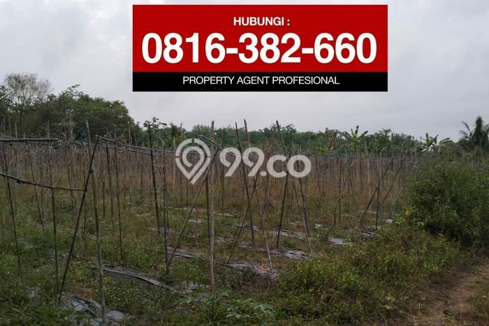 Untuk Dijual Tanah di Lembak Muara Enim Luas 1000m2 - Untuk Dijual Tanah di Lembak Muara Enim Luas 1000m2 -