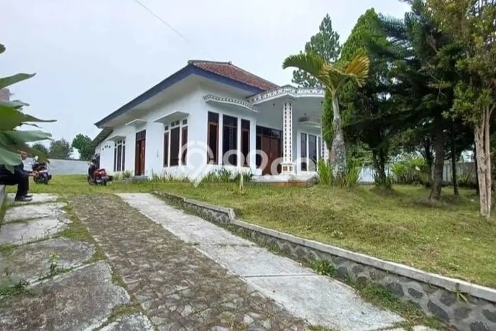 Dijual Rumah Strategis Bagus Punya 3 KT di Tumpang Malang SHM Dijual Rumah Strategis Bagus Punya 3 KT di Tumpang Malang SHM