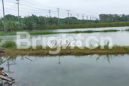 Jarang Ada! Tanah di Sayung Punya Luas 20000m2 SHM Jarang Ada! Tanah di Sayung Punya Luas 20000m2 SHM