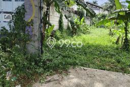 Tanah Dijual Lokasi Cariu, Bogor dengan Luas Tanah 500m2 dan Status SHM Tanah Dijual Lokasi Cariu, Bogor dengan Luas Tanah 500m2 dan Status SHM