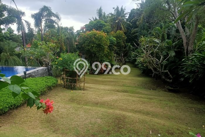 Kavling Tanah untuk Dijual di Pererenan, Badung, Luas 2000m2 Kavling Tanah untuk Dijual di Pererenan, Badung, Luas 2000m2