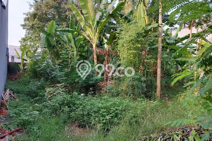 Kavling Tanah di Semarang Barat Dijual Luas 673m2 Legalitas - Kavling Tanah di Semarang Barat Dijual Luas 673m2 Legalitas -