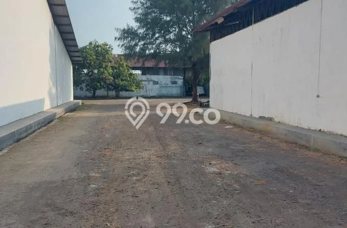 Dijual Pabrik Area Komersial di Suradadi, Luas 10000m2m², Jalan Utama Dijual Pabrik Area Komersial di Suradadi, Luas 10000m2m², Jalan Utama