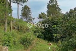 Tanah Dijual Area Strategis di Dago Bandung 5500m2 Tanah Dijual Area Strategis di Dago Bandung 5500m2