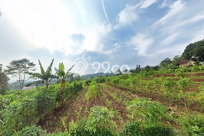 Tanah Area Berkembang Kawasan , Luas 2835m2m², Kawasan Nyaman, Akses Bandung, Bandung Tanah Area Berkembang Kawasan , Luas 2835m2m², Kawasan Nyaman, Akses Bandung, Bandung
