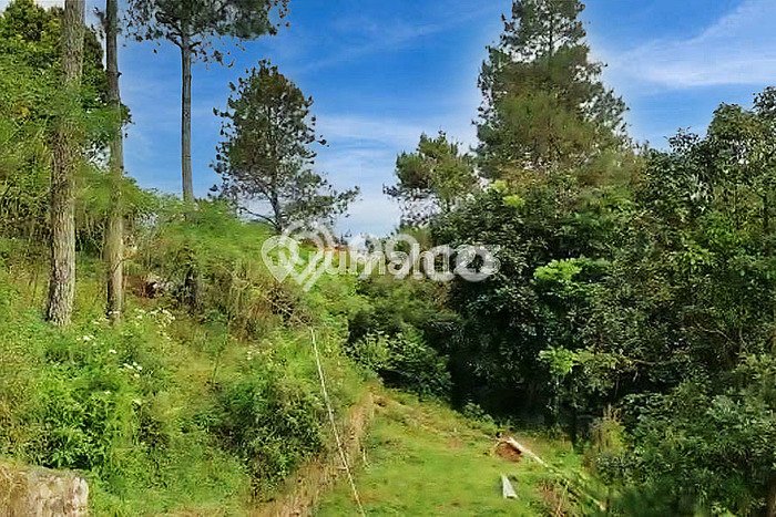 Properti Potensial! Vila di Coblong, Dimensi 5500m2m², Area Strategis dengan potensi meningkat Properti Potensial! Vila di Coblong, Dimensi 5500m2m², Area Strategis dengan potensi meningkat