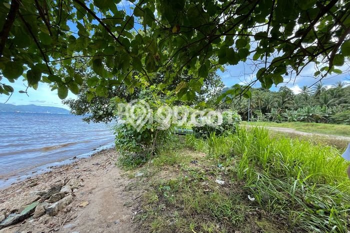 Tanah Dijual Lokasi Padang Cermin, Pesawaran dengan Luas Tanah 11000m2 dan Status SHM Tanah Dijual Lokasi Padang Cermin, Pesawaran dengan Luas Tanah 11000m2 dan Status SHM
