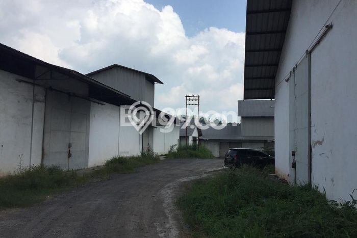 Gudang Dijual Lokasi Emas di Sukabumi Luas 2000m2 Gudang Dijual Lokasi Emas di Sukabumi Luas 2000m2