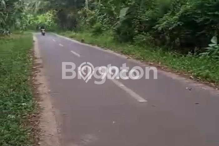Tanah Dijual Lokasi Natar, Lampung Selatan Luas 13363m2 Legalitas Aman Tanah Dijual Lokasi Natar, Lampung Selatan Luas 13363m2 Legalitas Aman