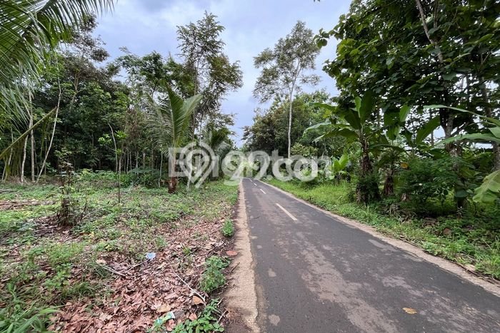 Tanah Dijual Lokasi Natar, Lampung Selatan Luas 13363m2 Legalitas Aman Tanah Dijual Lokasi Natar, Lampung Selatan Luas 13363m2 Legalitas Aman
