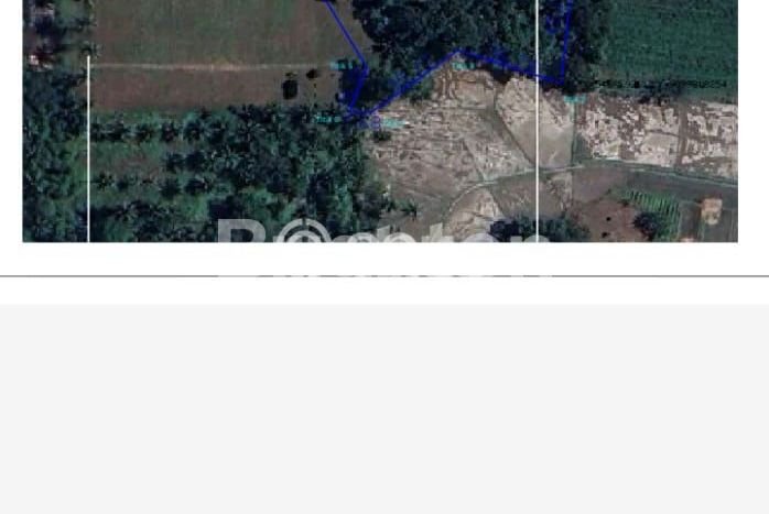 Tanah Dijual Lokasi Natar, Lampung Selatan Luas 13363m2 Legalitas Aman Tanah Dijual Lokasi Natar, Lampung Selatan Luas 13363m2 Legalitas Aman