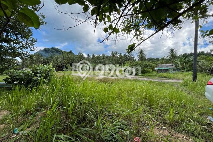 Tanah Dijual Lokasi Padang Cermin, Pesawaran dengan Luas Tanah 11000m2 dan Status SHM Tanah Dijual Lokasi Padang Cermin, Pesawaran dengan Luas Tanah 11000m2 dan Status SHM
