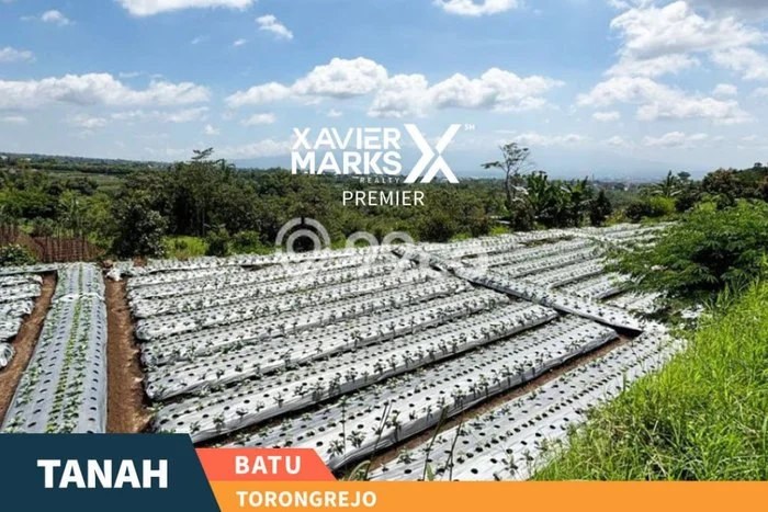 Lahan Kosong Dijual di Batu dengan Area 2919m2 Lahan Kosong Dijual di Batu dengan Area 2919m2