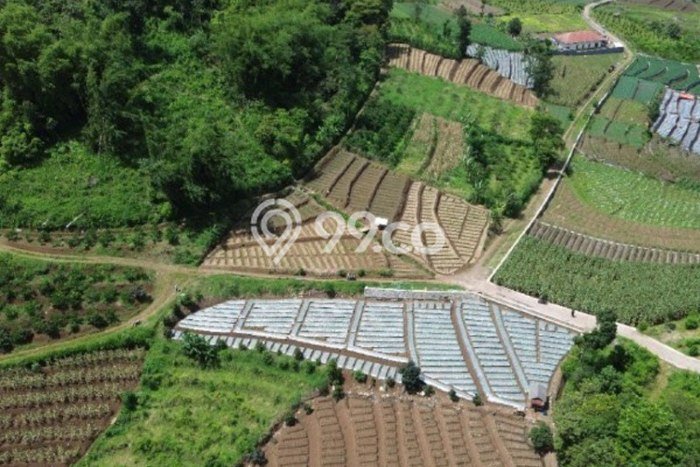 Lahan Kosong Dijual di Batu dengan Area 2919m2 Lahan Kosong Dijual di Batu dengan Area 2919m2