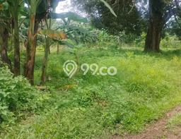 Tanah Investasi Dijual di Gowa Punya Luas 50000m2 Tanah Investasi Dijual di Gowa Punya Luas 50000m2
