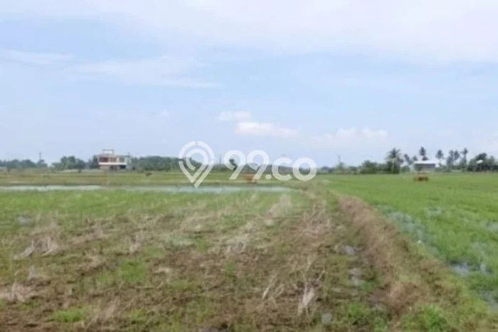 Lahan Kosong Dijual di Bantimurung, Maros, Luas 2054m2 Area Strategis Lahan Kosong Dijual di Bantimurung, Maros, Luas 2054m2 Area Strategis