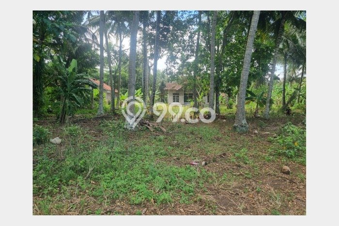 Tanah Dijual Lokasi Wates, Kulon Progo dengan Luas Tanah 768m2 dan Status SHM Tanah Dijual Lokasi Wates, Kulon Progo dengan Luas Tanah 768m2 dan Status SHM