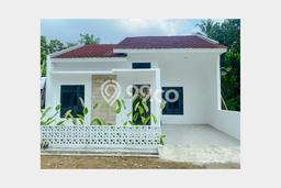 Rumah Minimalis Dijual di Sedayu 2 Kamar dengan LT 82m2 Rumah Minimalis Dijual di Sedayu 2 Kamar dengan LT 82m2