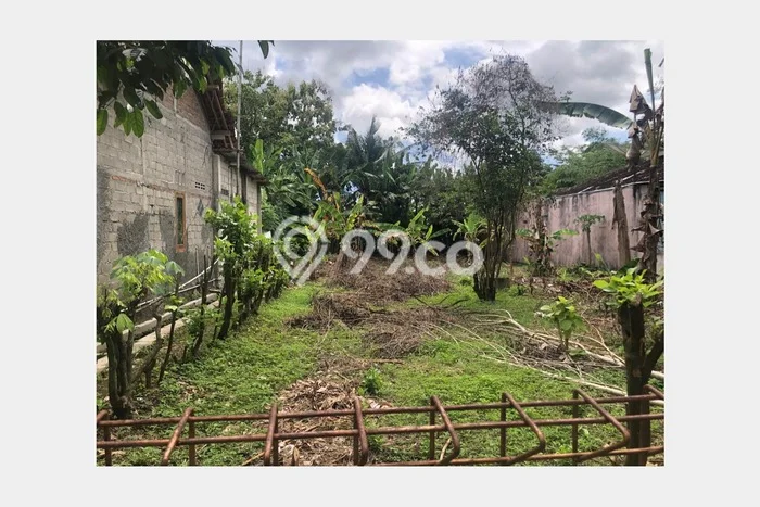 Lahan Kosong Dijual di Kulon Progo dengan Area 440m2 Lahan Kosong Dijual di Kulon Progo dengan Area 440m2